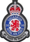 310 Squadron badge