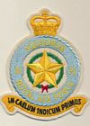31 Squadron badge