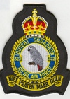 322 Squadron badge
