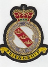 341 Squadron badge