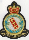 342 Squadron badge