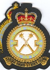 349 Squadron badge