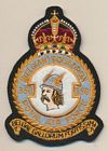 350 Squadron badge