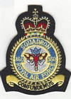 360 Squadron badge