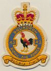 43 Squadron badge