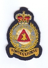 48 Squadron badge
