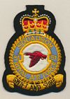 51 Squadron badge