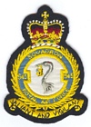 543 Squadron badge