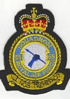 55 Squadron badge