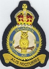 58 Squadron badge