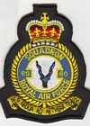 60 Squadron badge