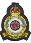 630 Squadron badge