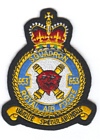 653 Squadron badge