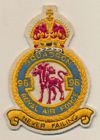 98 Squadron badge