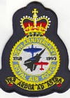 RAF Anniversary 1918-1993 badge