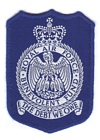 RAF Benevolent Fund badge
