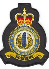 Handling Squadron badge
