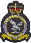 Joint Special Forces Aviation Wing badge