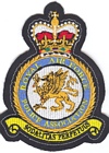 RAF Police Association badge