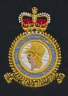 Royal Air Force Technical College badge