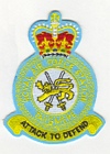 Tangmere badge