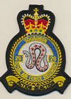 26 Sqn RAF Regiment badge