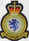 Birmingham UAS badge