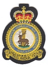 Southampton UAS badge