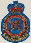 Royal Hong Kong Auxiliary Air Force badge