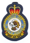 103 Rescue Unit badge