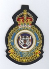 119 Squadron RCAF badge