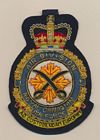 1 Air Division badge