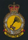 2403 (Auxiliary) Unit badge
