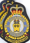 402 Squadron badge