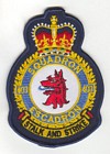 403 Squadron badge