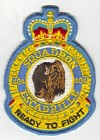 404 Squadron badge