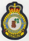 405 Squadron badge