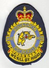406 Squadron badge