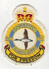 408 Squadron badge