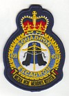 409 Squadron badge