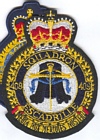 409 Squadron badge