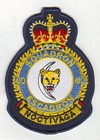 410 Squadron badge