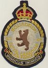 411 Squadron badge