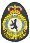 411 Squadron badge