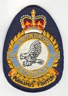 420 Squadron badge