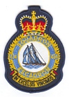 434 Squadron badge