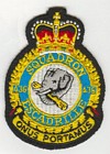 436 Squadron badge