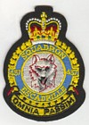 437 Squadron badge