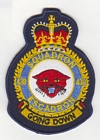 438 Squadron badge