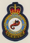 442 Squadron badge